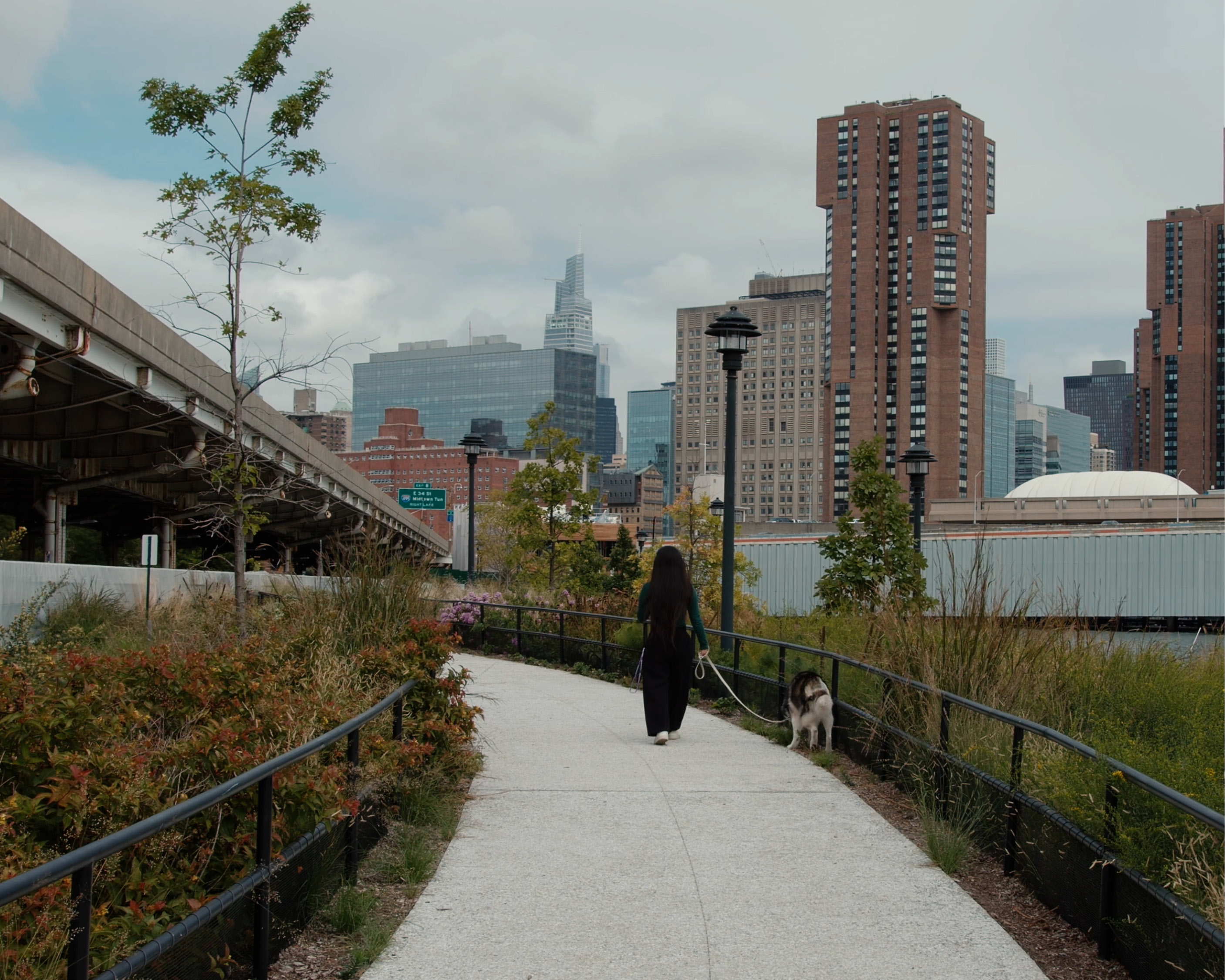 New Yorker walking their dog along the BIG U's more resilient and enjoyable waterfront for Lower Manhattan.