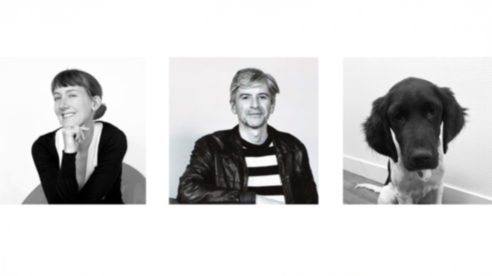 Zandro Central Market