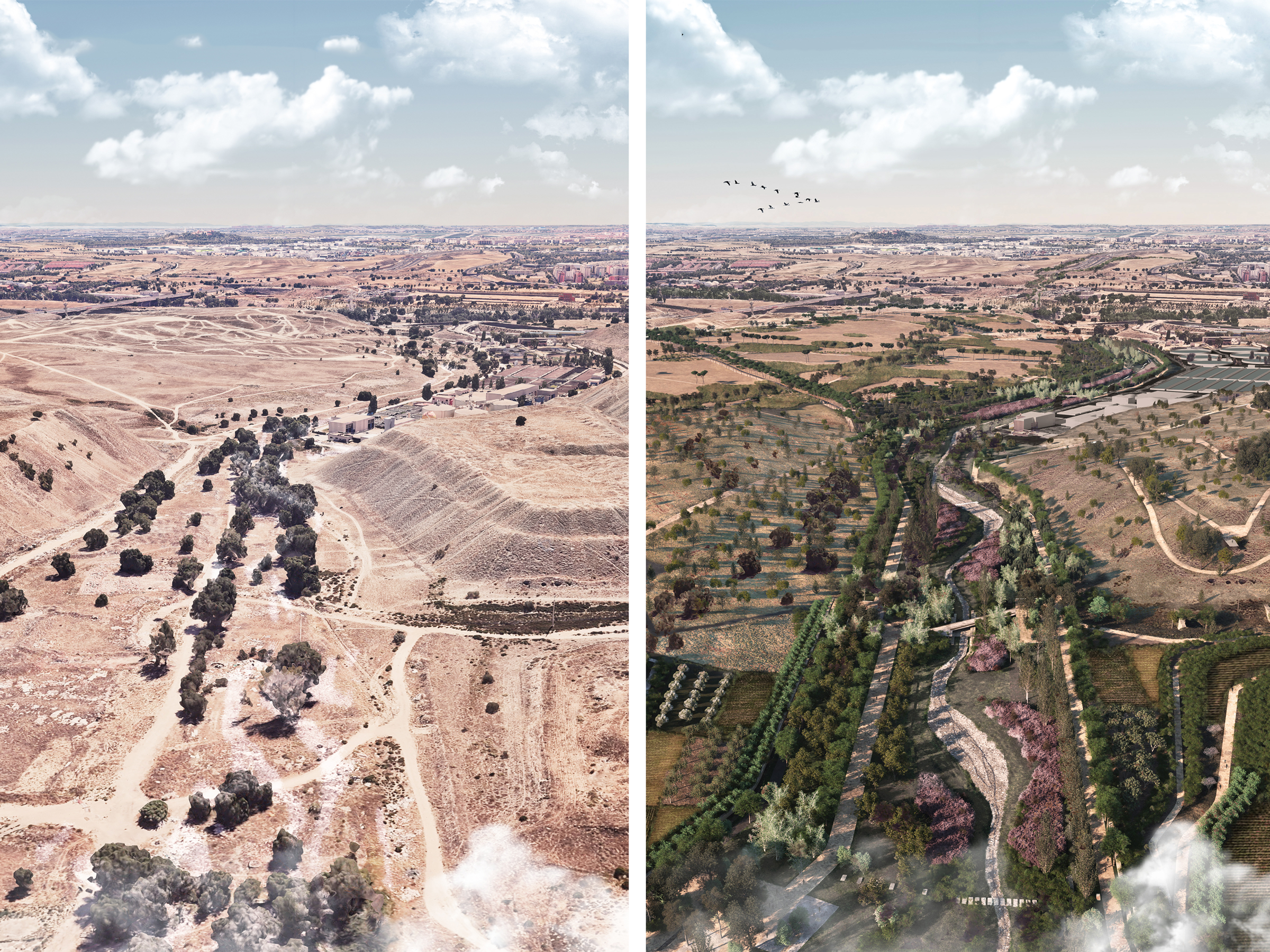 Madrid Metropolitan Forest